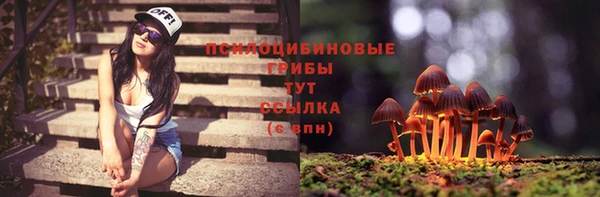 2c-b Алексеевка