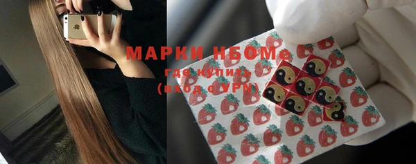 стафф Алексин